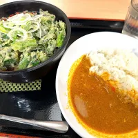 小松菜天そばに小カレー|マハロ菊池さん