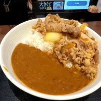 牛魯珈カレー|マハロ菊池さん