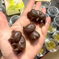 Cats chocolate|yeni kartikasariさん