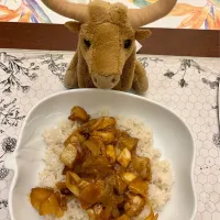 2025/1/31 おひょうのマッサマンカレー  Massaman Curry with Halibut|19 Boys & 野鳥さん