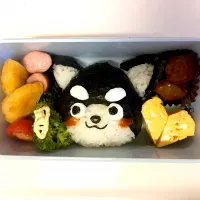 チワワ弁当|SALLYさん