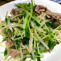 単身赴任中の男飯(豆苗)|おおもりの星さん