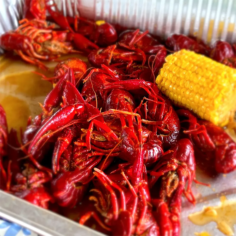 crawfish ザリガニ|zさん