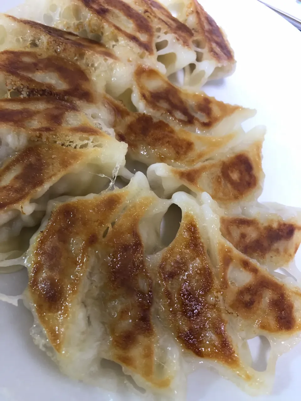 餃子|sako shinsukeさん