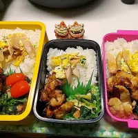 夫弁当､娘弁当､私弁当