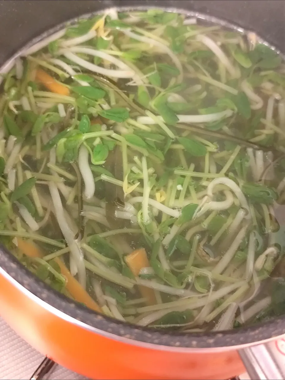 豆苗ともやし人参昆布のスープ|m.rafuさん