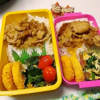 夫弁当､私弁当