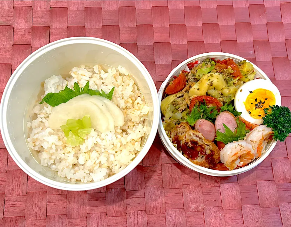 中学生息子のお弁当🍱 トルテリーニ スピナッチ＆リコッタと海老カクテル弁当🍱|Snow10さん