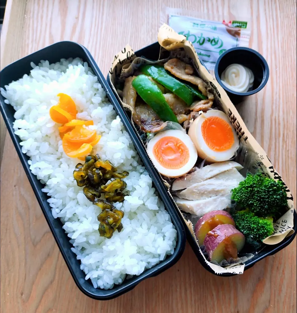 夫のお弁当|みわさん