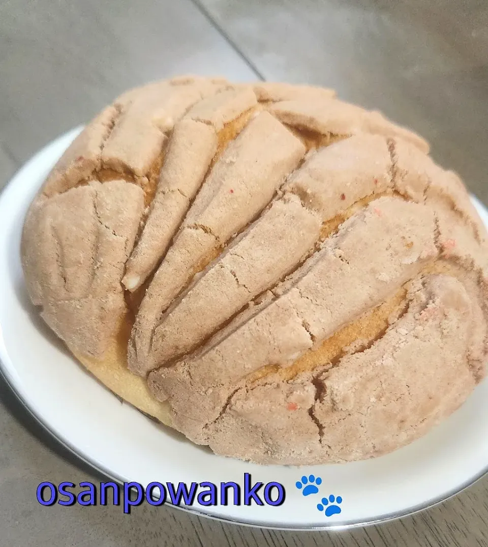 concha（コンチャ）|osanpowankoさん