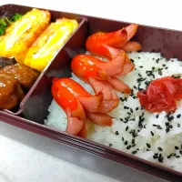 タコさんウインナー弁当|こむぎさん