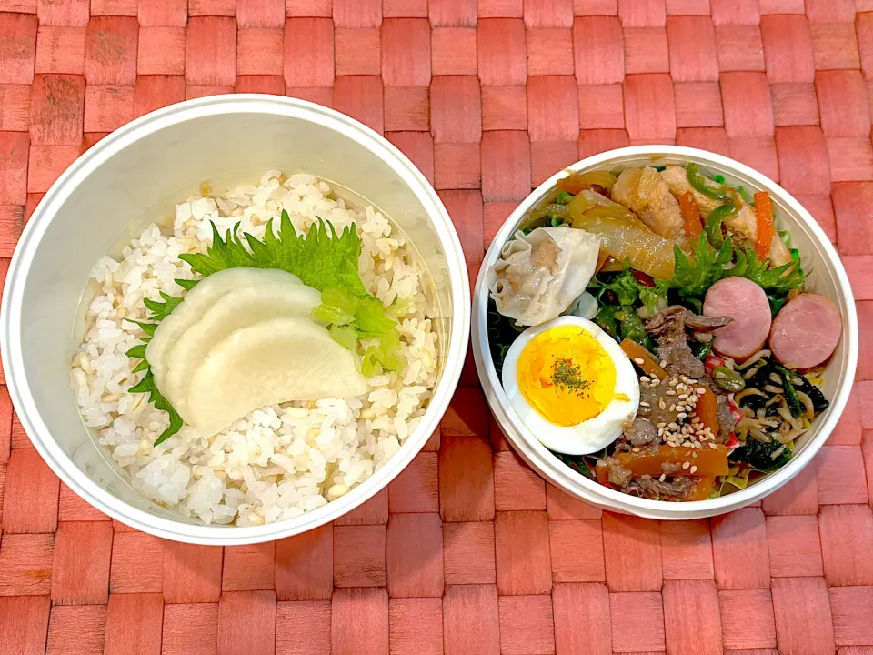 中学生息子のお弁当🍱 豚ロース焼きとプルコギビーフ弁当🍱|Snow10さん