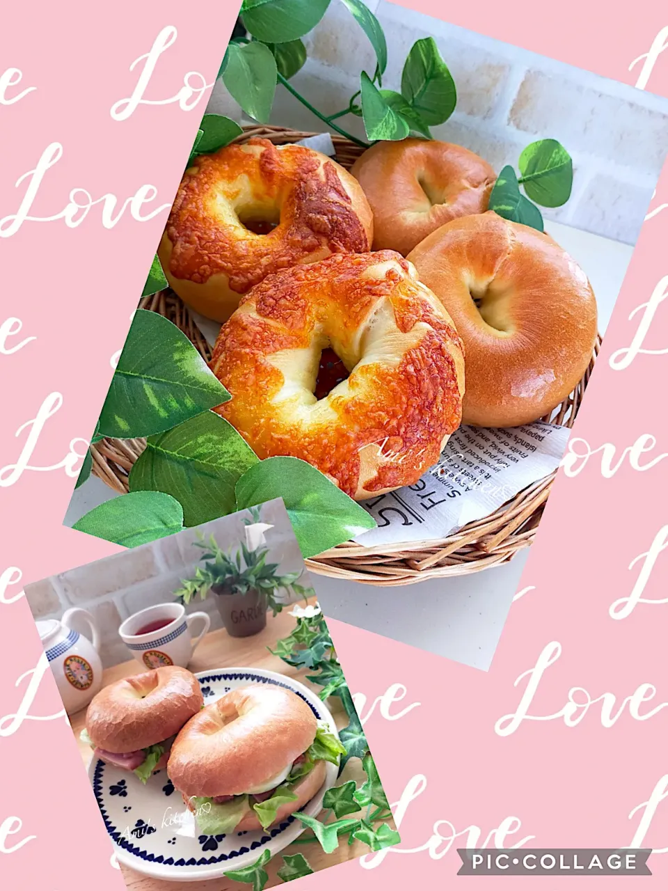 プレーンとチーズのベーグル☺️🥯|あみさん