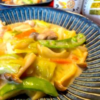 野菜と鶏肉のみそ豆乳クリーム煮🥬|おかちさん