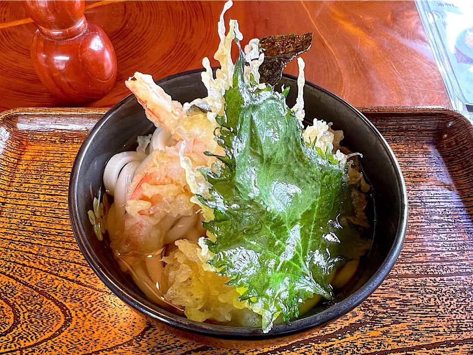 今日のお昼は、天ぷらうどん🍤（半玉）|yokoさん