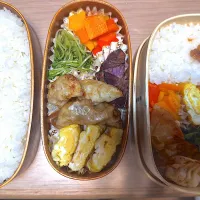 揚げ餃子弁当🍱|ふみふみさん