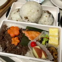 そぼろと鮭のお弁当|たんぽぽさん