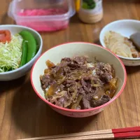 夜　牛丼､サラダ､残り物|みちくんさん