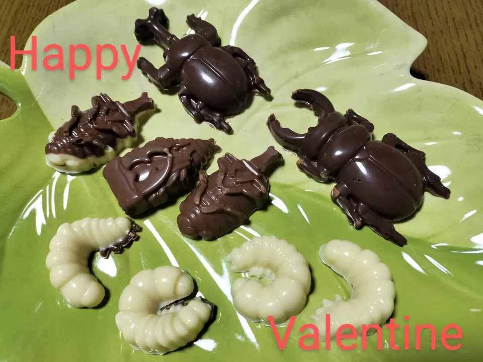 ❤バレンタイン昆虫チョコ|みよぱさん