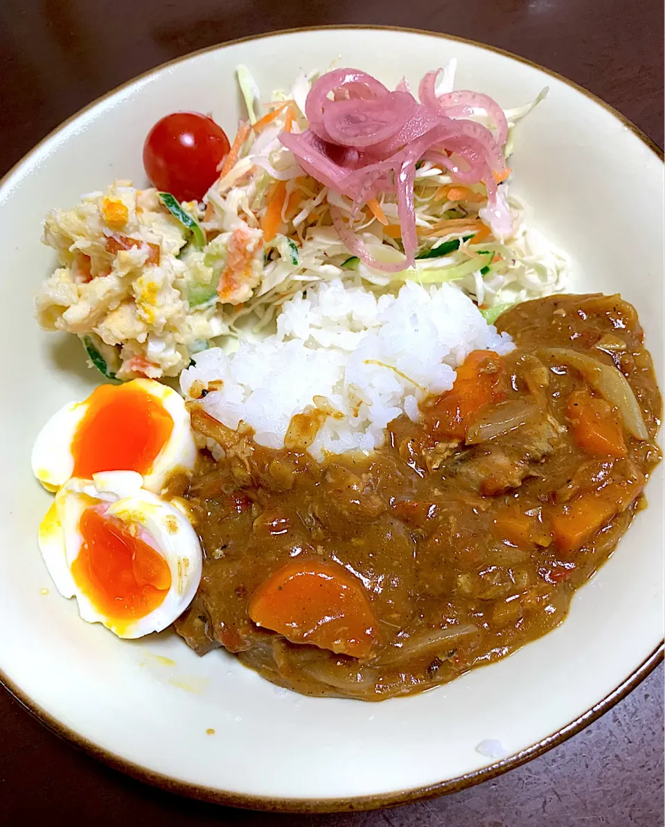 休日の朝カレー🍛|がおりんさん