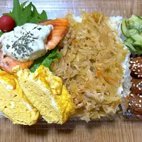 鮭弁当|望さん