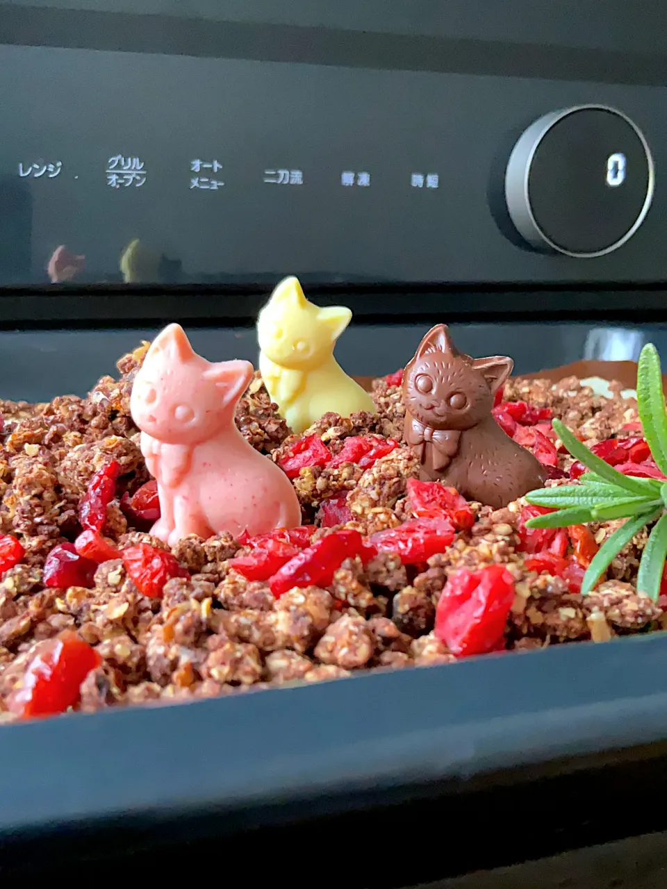 🍫チョコレートグラノーラ🥣|9421beruさん
