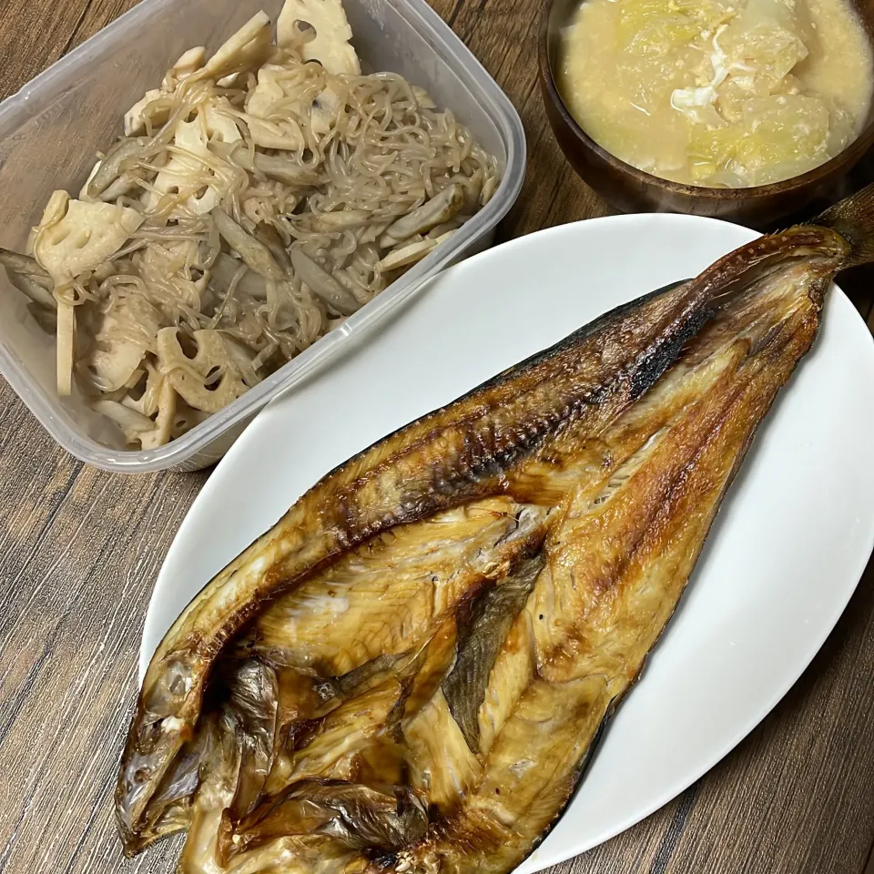 |ごはんーさん
