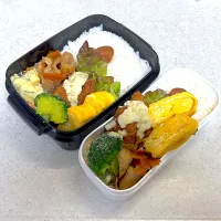 2025年2月13日お弁当🍱|もぐぷーさん