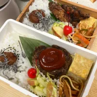 ハンバーグ弁当|たんぽぽさん