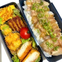 今日のお弁当🍱|Chikaーーさん