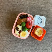 今日のお弁当|leilaniさん