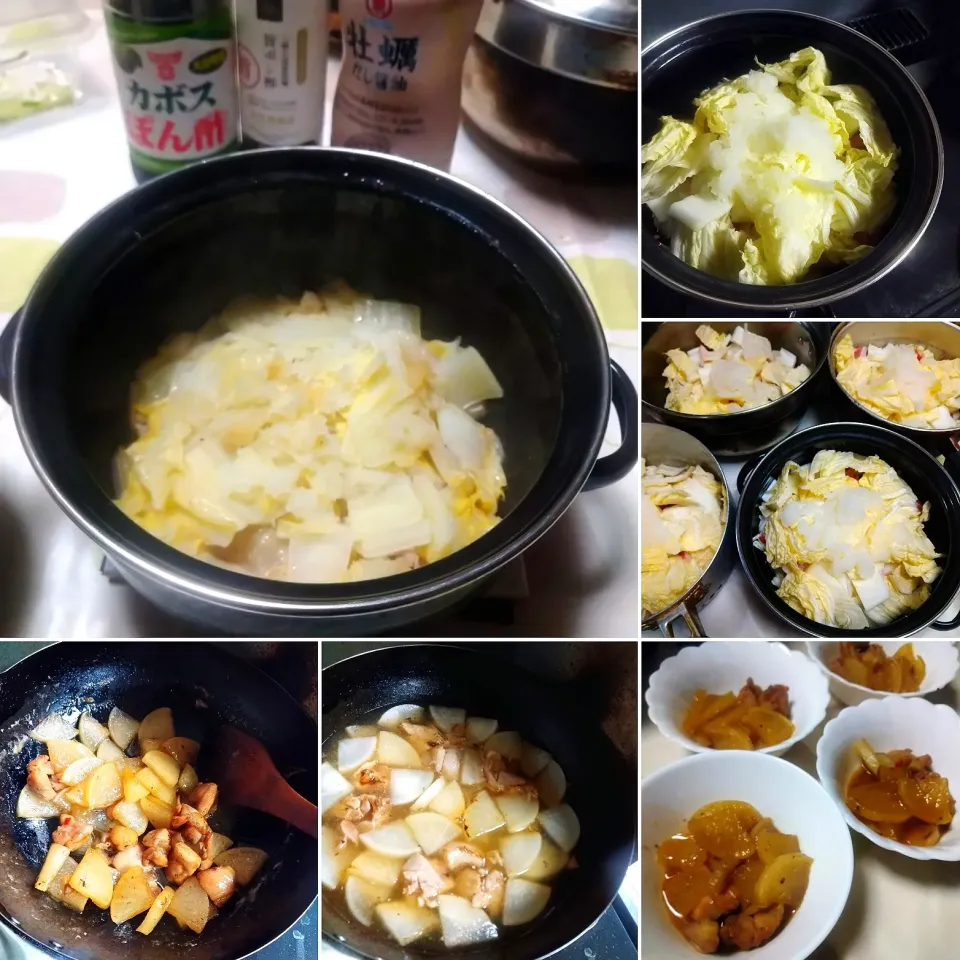 白菜鍋と、大根と鶏肉の炒め煮|うたかた。さん