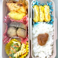 しゃけと肉だんご弁当| あおのりさん