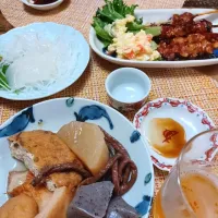 おでん、烏賊刺し、焼鳥で居酒屋気分🍻🍶|ぱいんてーるさん