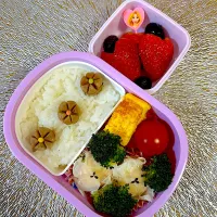 (2/15)Lunchbox  今日はシュウマイ弁当🍱| Kahoさん