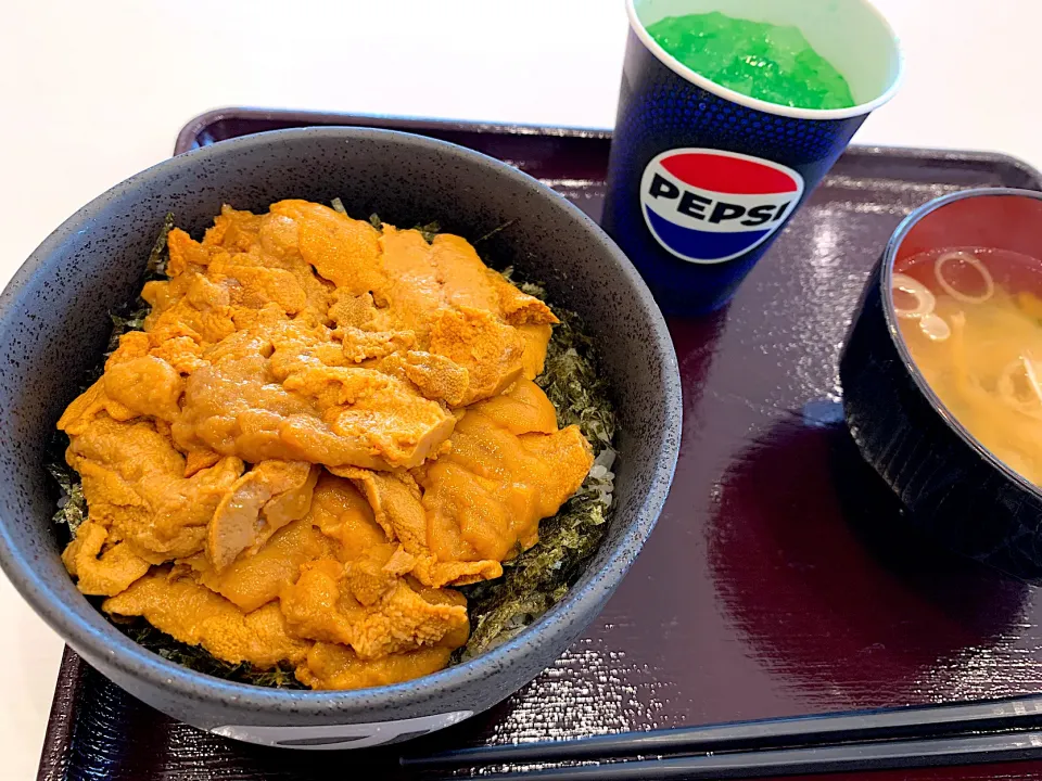 ウニ丼　のっけ家　ららぽーと磐田　車で1人旅|パムさん