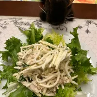 2025/2/15  きつねさんの料理を参考に、根セロリと蟹のサラダ  Celeriac and Crabmeat Remoulade|19 Boys & 野鳥さん