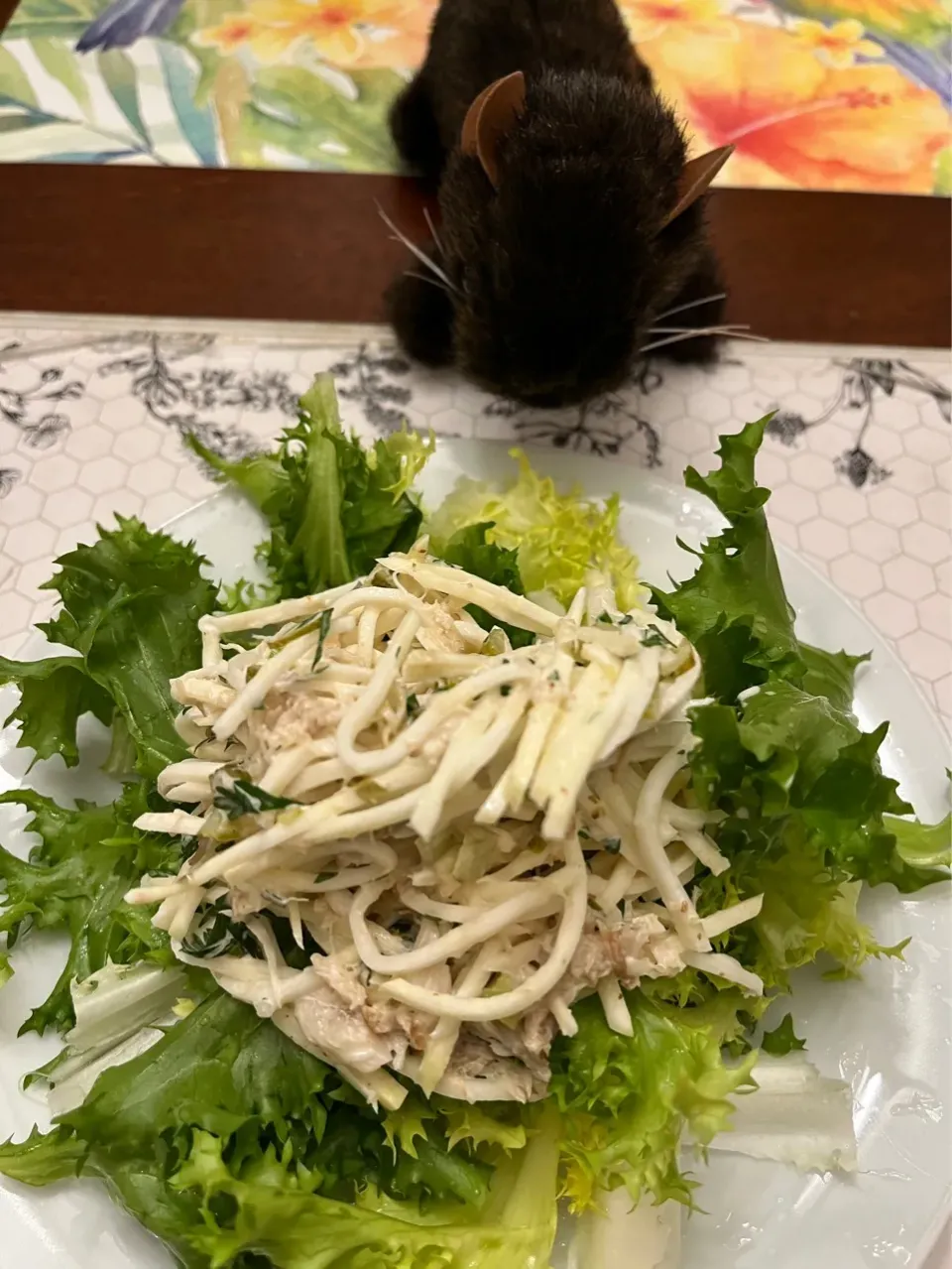2025/2/15  きつねさんの料理を参考に、根セロリと蟹のサラダ  Celeriac and Crabmeat Remoulade|19 Boys & 野鳥さん