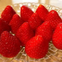 苺狩りに行ったつもりで高級いちご🍓|foryuukiさん