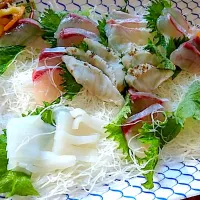 魚屋さんに1000円で造って貰った【刺身の盛り合わせ】 ヒラマサ🐟鯛🐟ササイカ🦑フグ🐡のタタキ|🐈⸒⸒⸒⸒つるのダンス🐈🐾さん