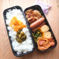 夫のお弁当|みわさん