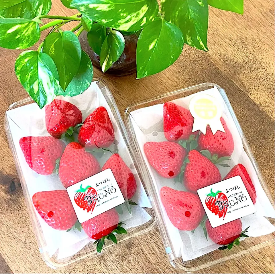 いちご🍓✨|na.mekoooさん