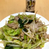 単身赴任中の男飯(肉野菜炒め)| おおもりの星さん