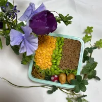 2/18❤︎主人の三色そぼろ弁当🌱
おはようございます☀
週末の暖かさから一転🙇‍♀️今日からまた寒い日が続きそうですね🍃


＊ 鶏そぼろ
＊ たまごそぼろ
＊塩茹で枝豆🫛
＊ 焼きそば
＊ 五目春巻き
＊ ほうれん草の胡麻和え|Makinsさん