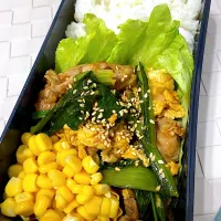 単身赴任弁当166|単身赴任のっちさん