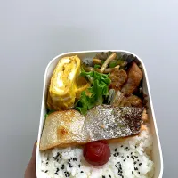 パパ弁当🍱|しーちゃんさん