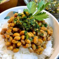 パクチー納豆ご飯🌿|DKさん