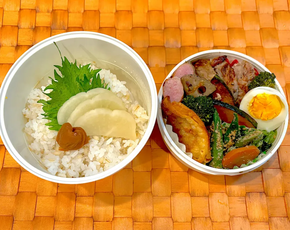 中学生息子のお弁当🍱 豚肉の塩麹焼き弁当🍱|Snow10さん