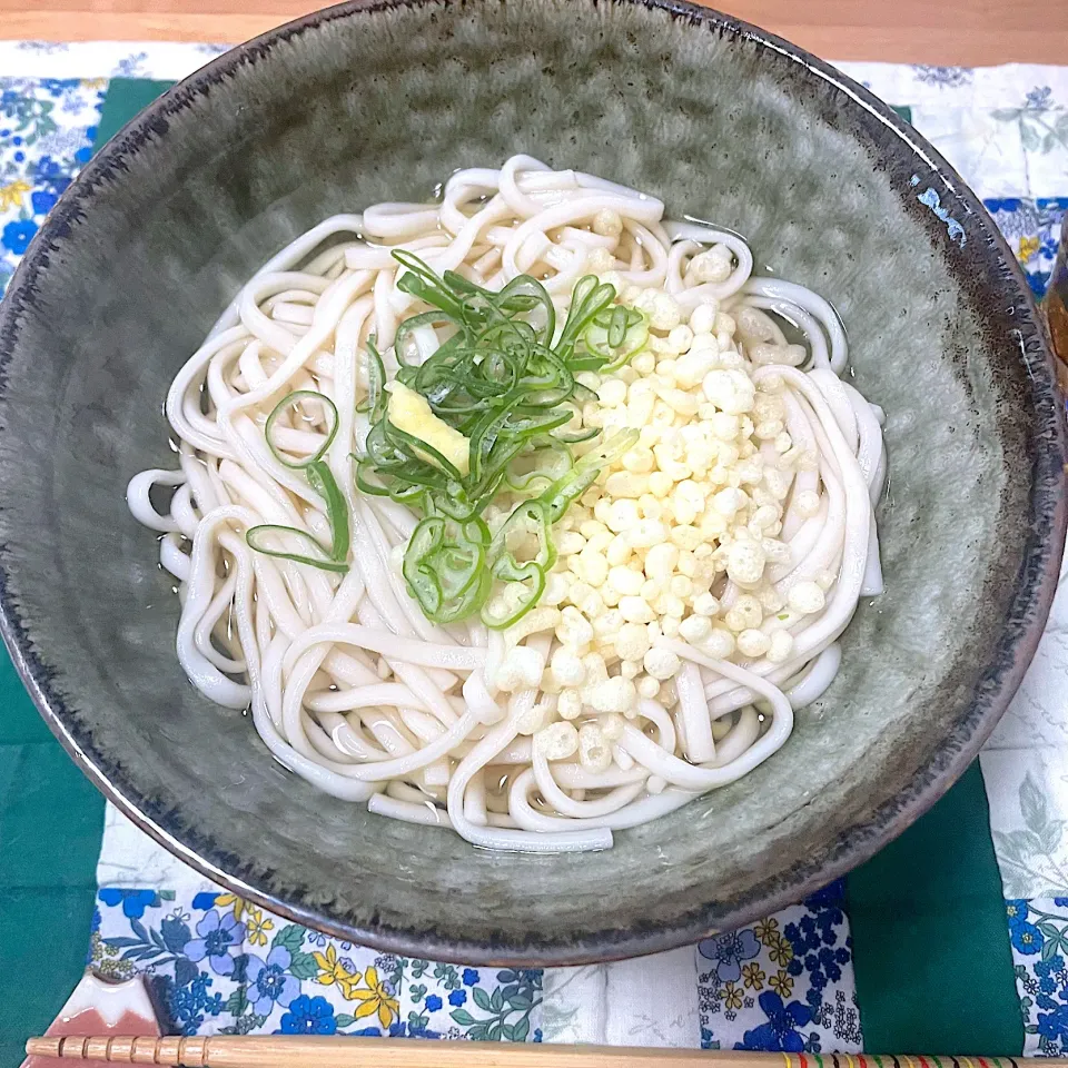 かけうどん|ゆさんさん