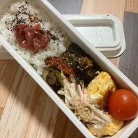 まーぼーなすと卵焼きのお弁当|ポンポンダリアさん